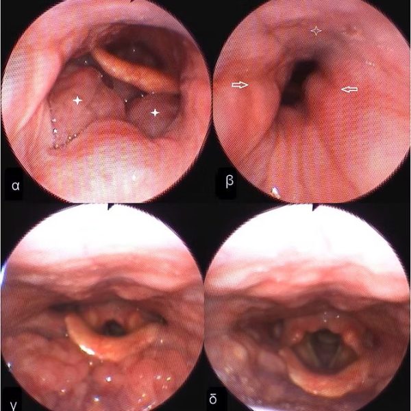 rogxopatheion8
